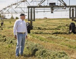 Caucasian male farmer looking over crop
