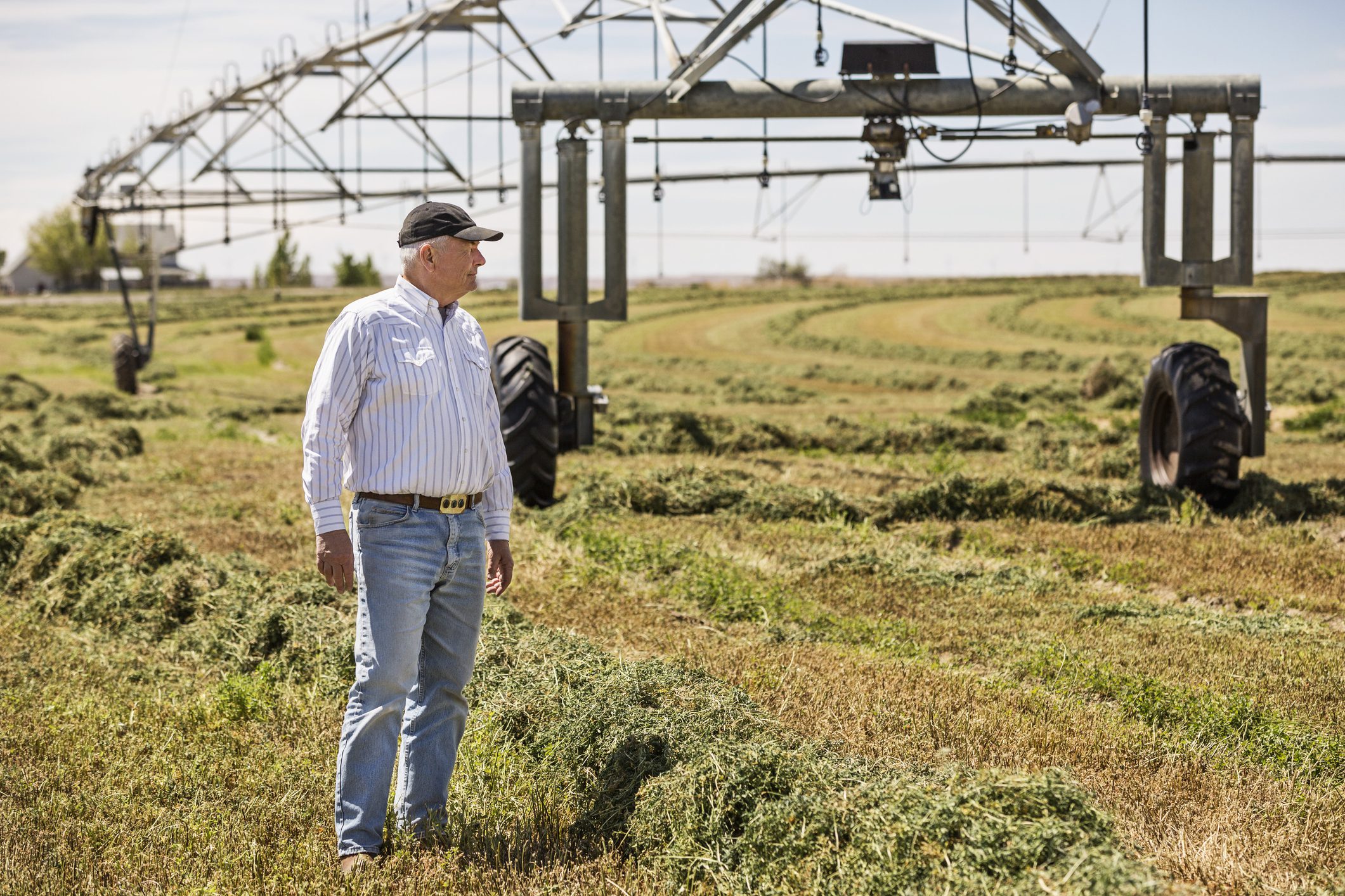 Caucasian male farmer looking over crop